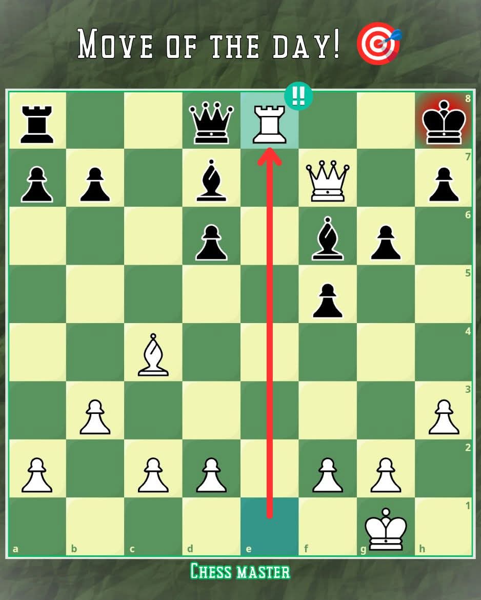 Chess Master tweet media