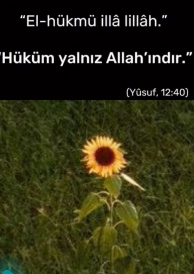 Aybüke 🇹🇷58 tweet media