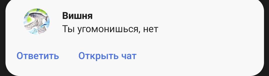 Переводной Дурак tweet media