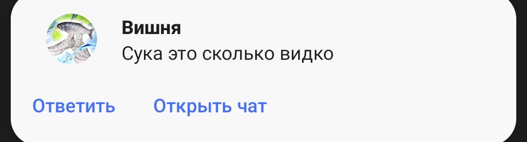 Переводной Дурак tweet media