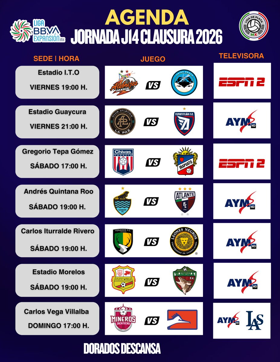 Liga de Plata MX tweet media