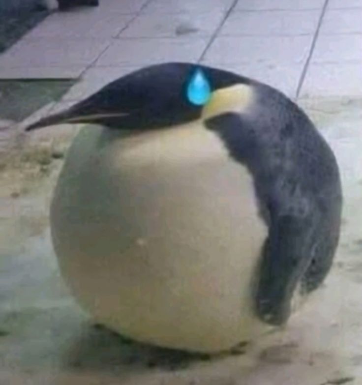RPGnet's tweet photo. When you get back from the session and remember your characters abilities that could have saved your teammates https://t.co/BS0FEgZTX4