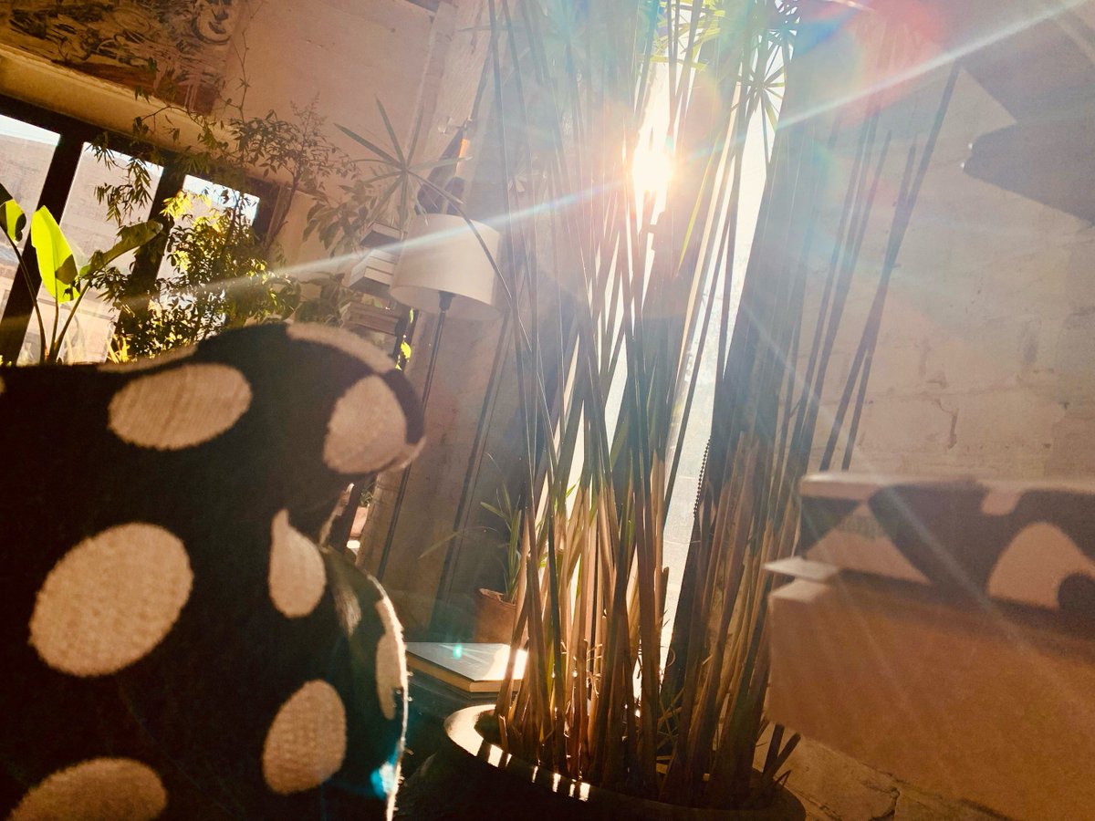 Thevefon tweet media