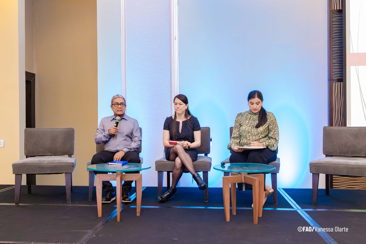 UN Food Systems Coordination Hub tweet media