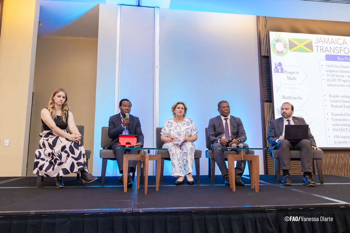 UN Food Systems Coordination Hub tweet media