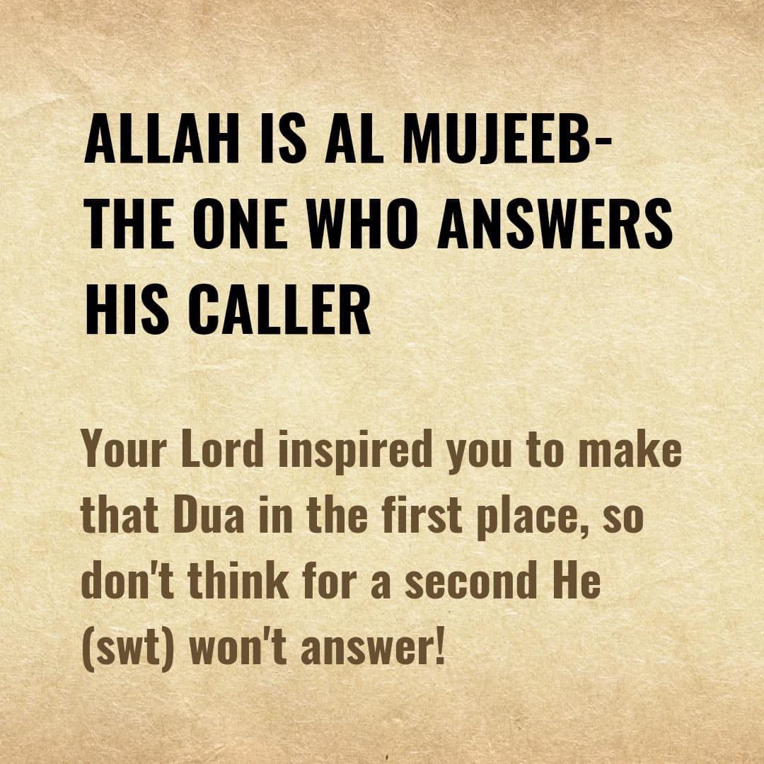 STRIVING MUSLIM tweet media