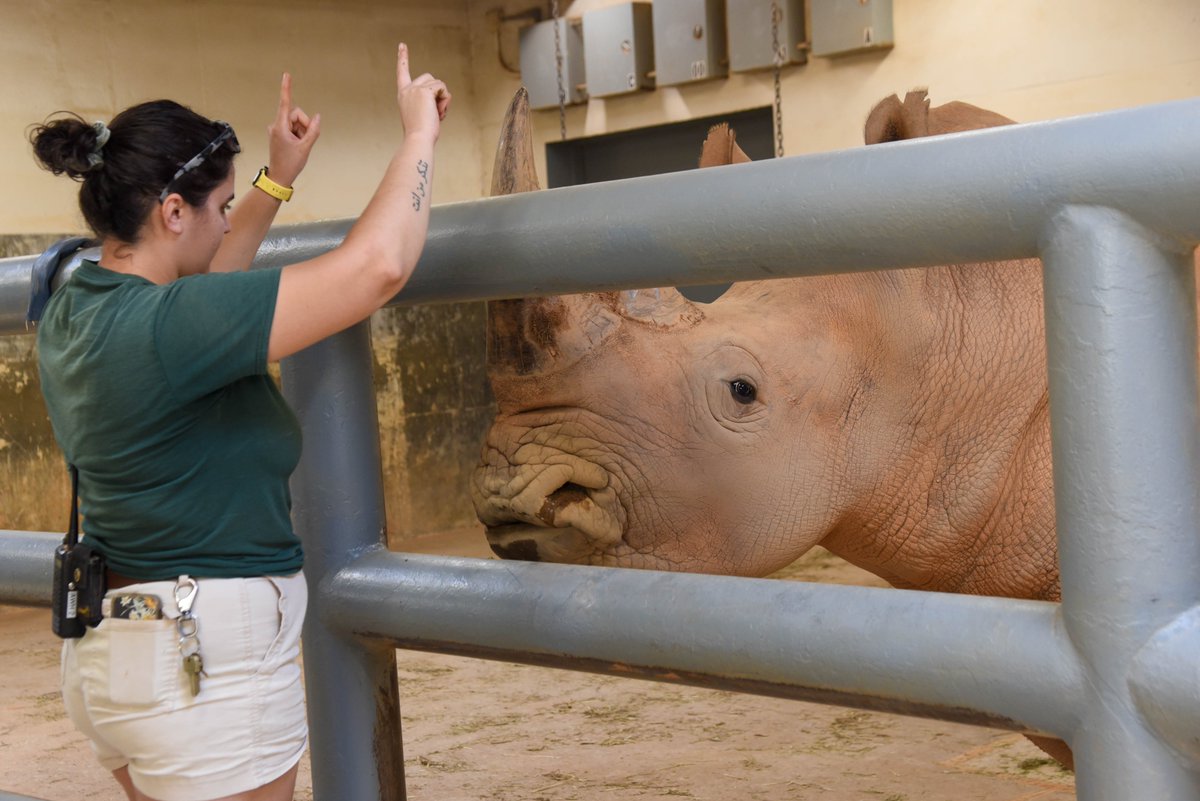 Maryland Zoo tweet media