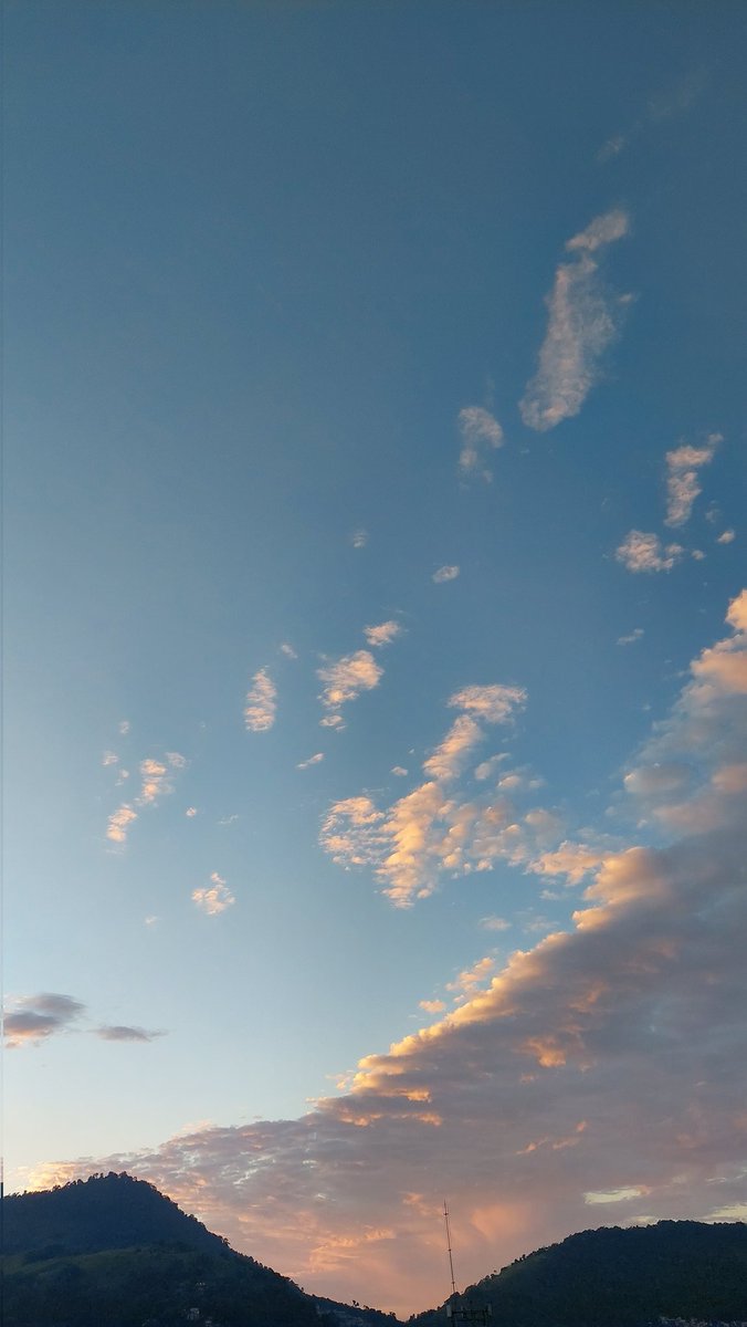 randomcatmv tweet media