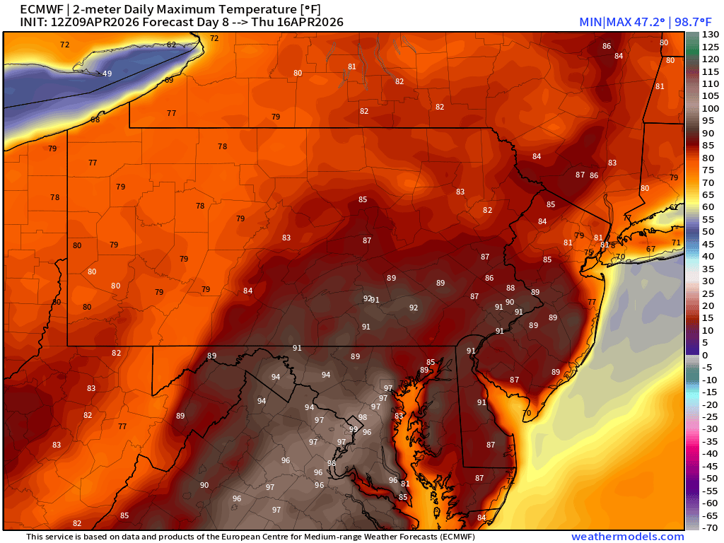 Stephen Eckhardt ☀️ tweet media