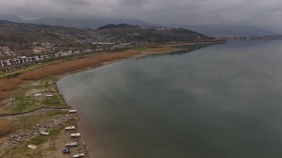 Kuzey Ormanları Savunması tweet media