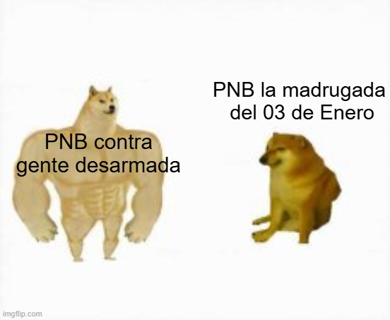 Agente Scully 🇻🇪🗽 tweet media