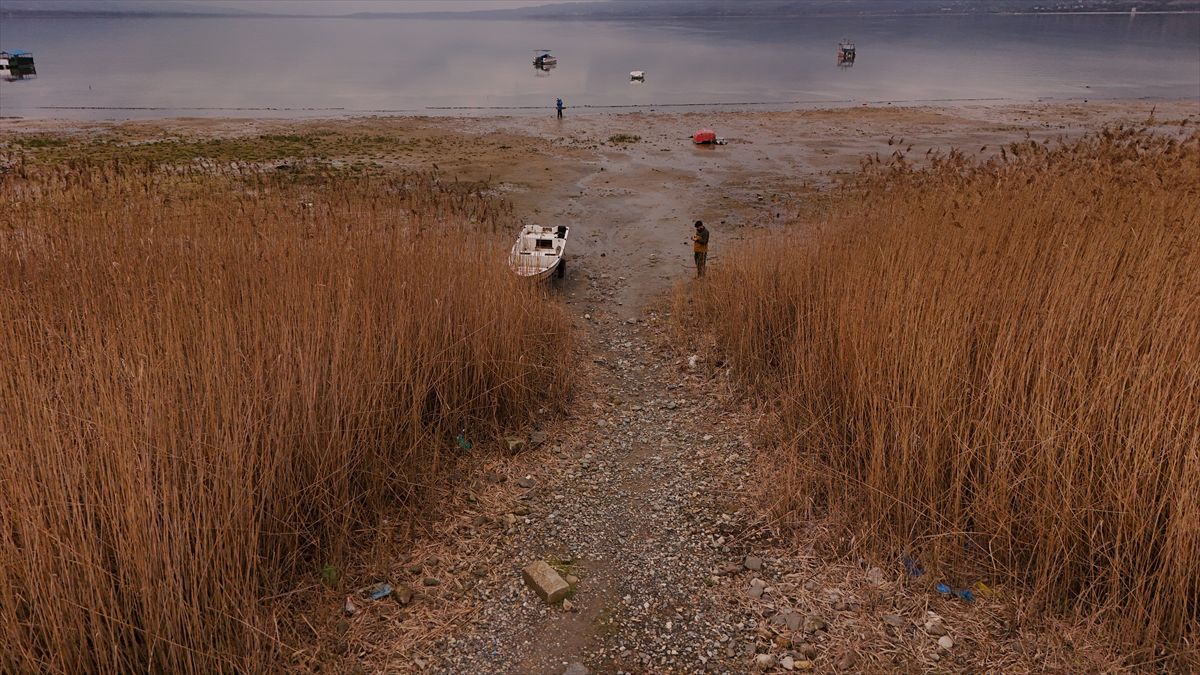 Kuzey Ormanları Savunması tweet media