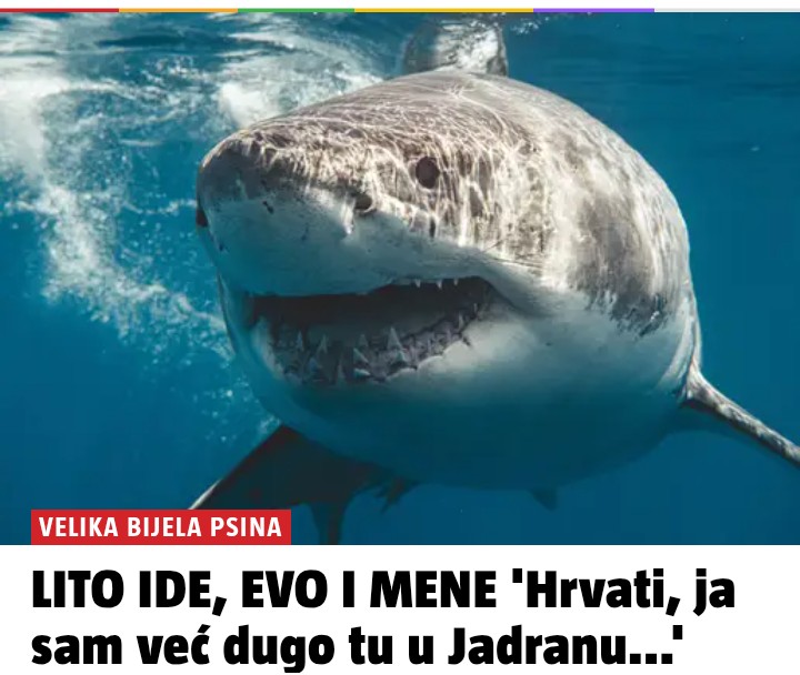 Trinaesto Prase tweet media