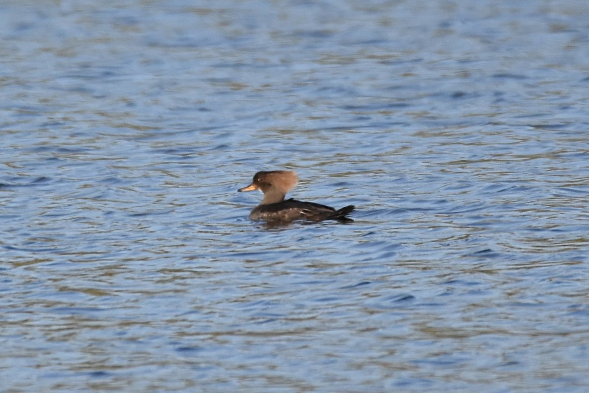 Simon Rose tweet media