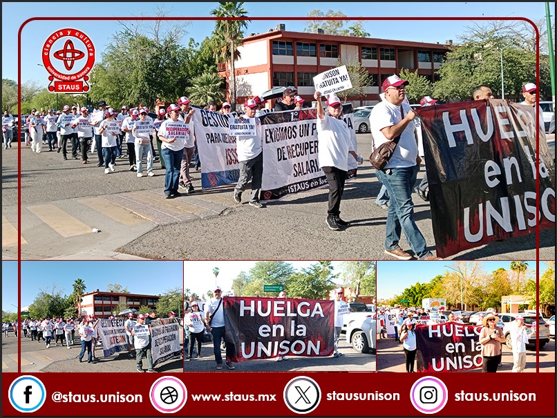 STAUS en Línea tweet media