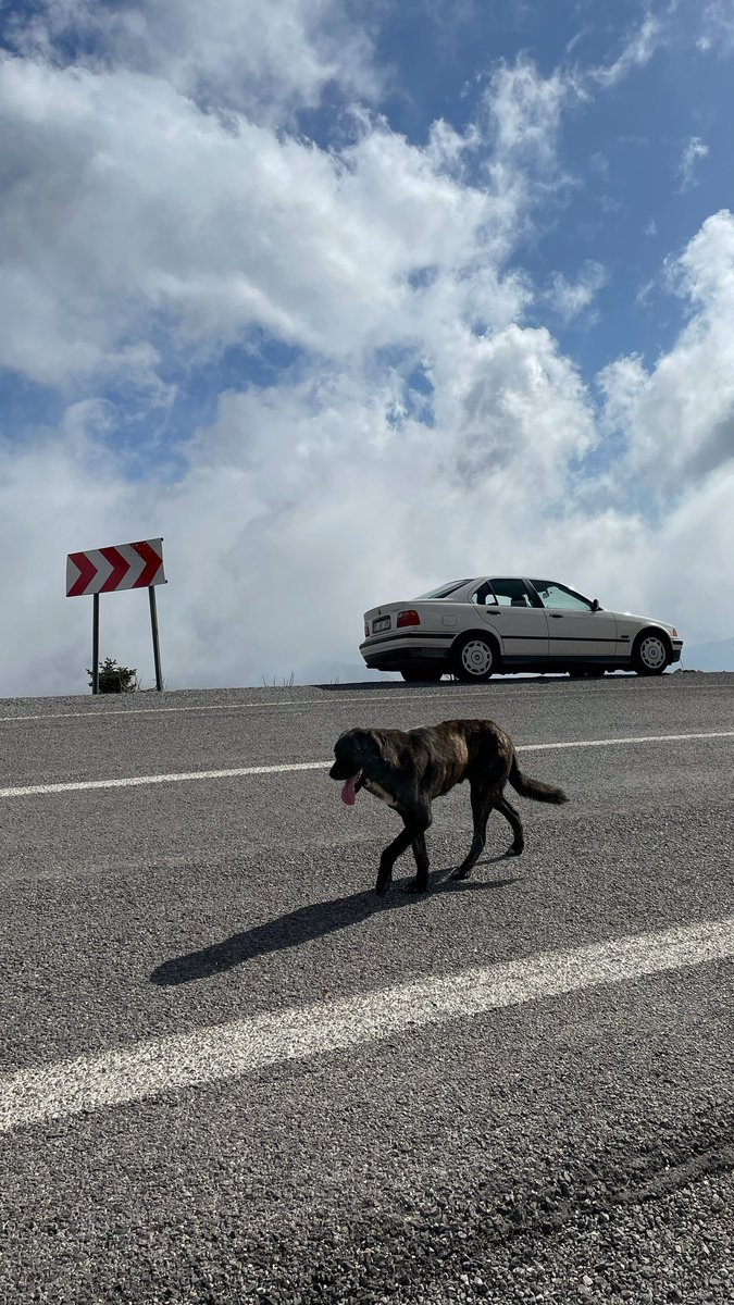 İsmail Terzi tweet media