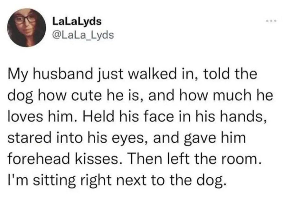 non aesthetic things tweet media