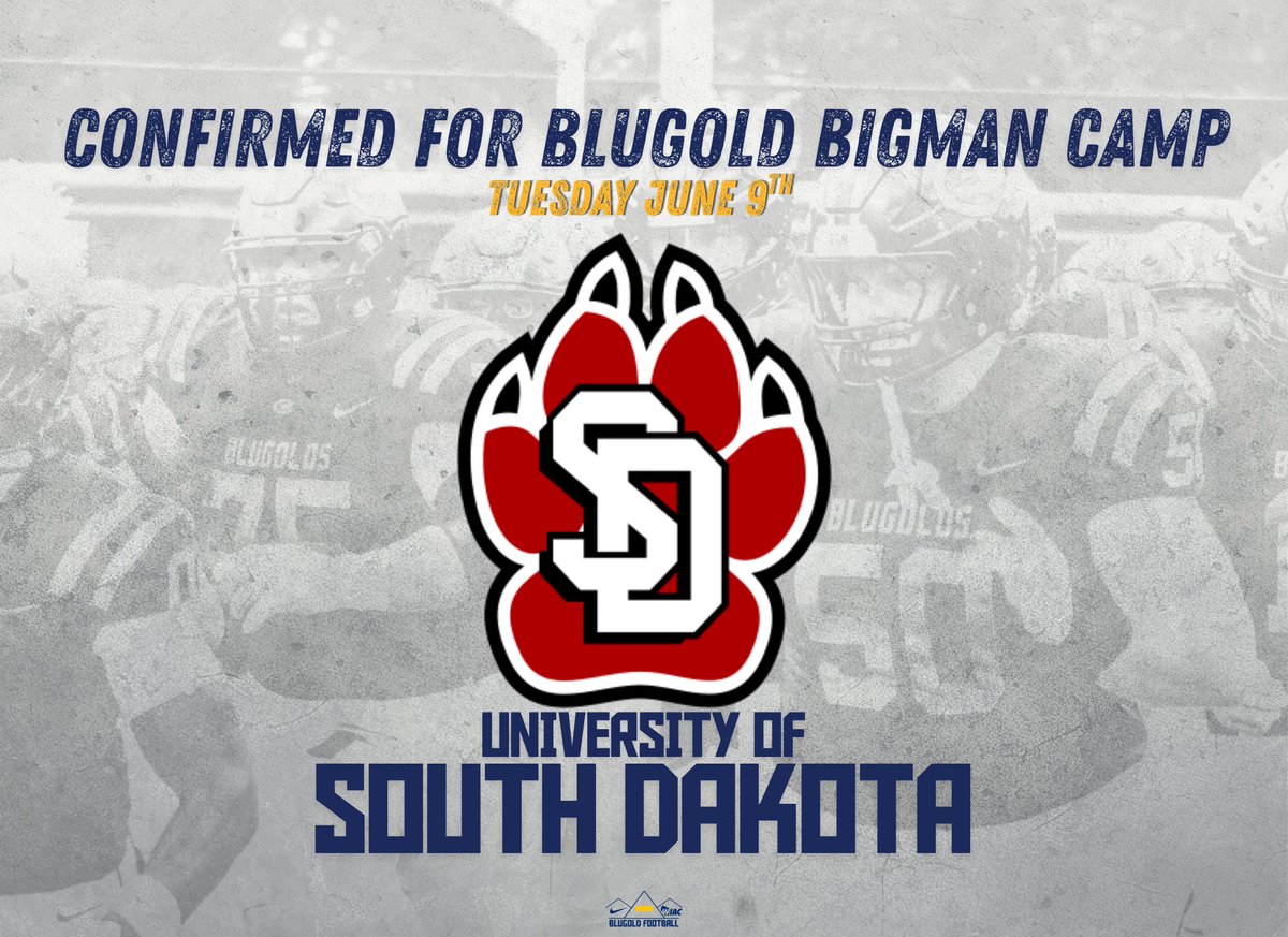 Blugold Football tweet media