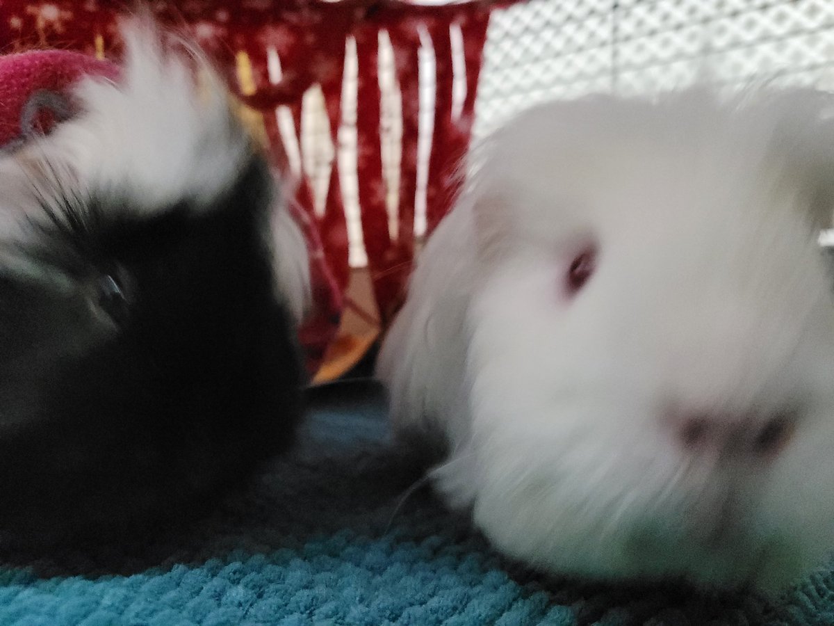 Barry Howells tweet media