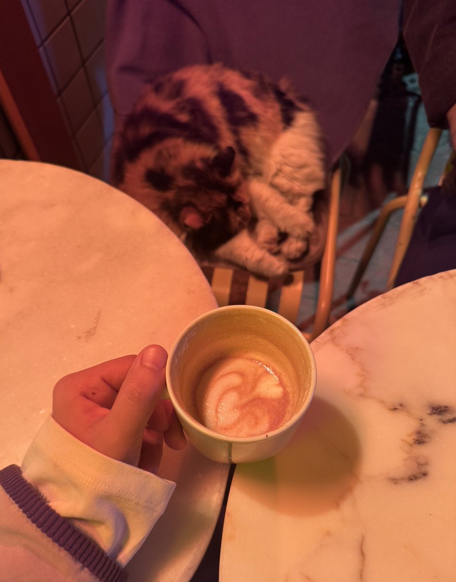 wizardnur tweet media