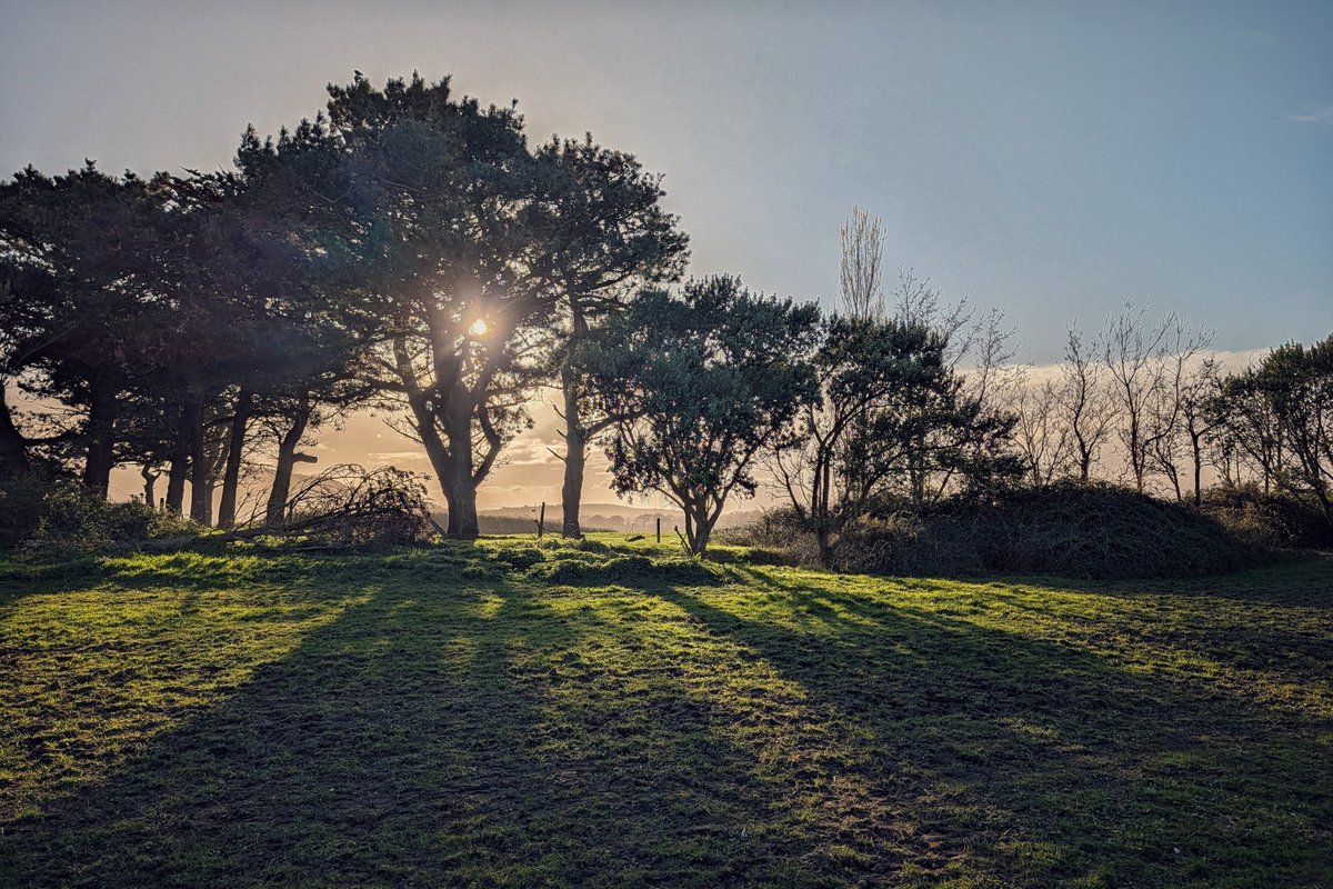 Smartphone Photographer tweet media