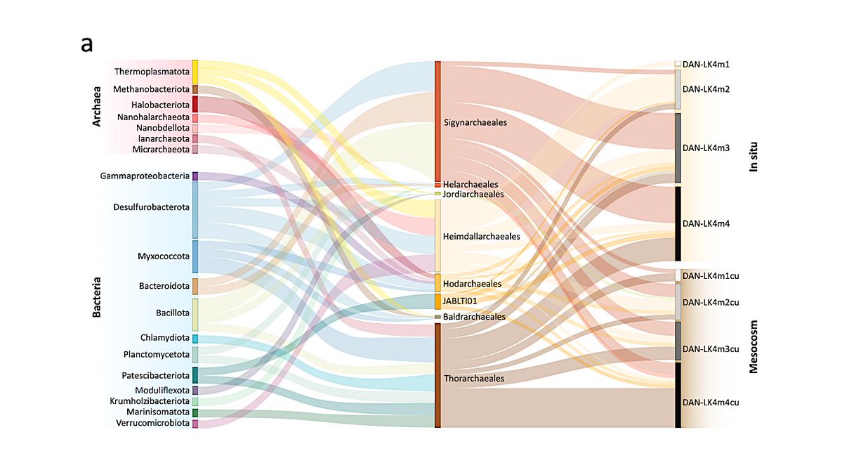 astrobiology's tweet image. Redox distribution Of Asgard Archaea And Co-occurring Taxa In Microbial Mats From An Early Proterozoic Ecosystem Analog
astrobiology.com/2026/04/redox-… #astrobiology #extremophile #microbiology #evolution
