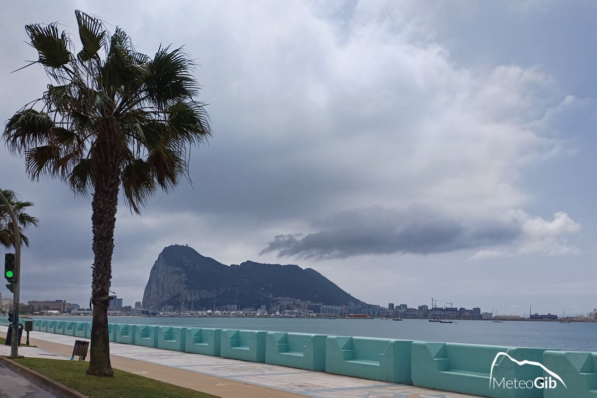 MeteoGib tweet media