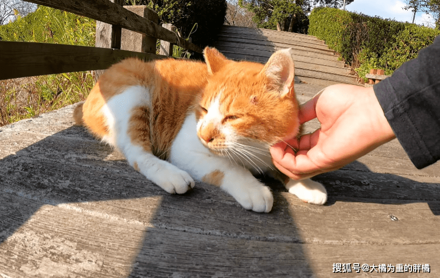 Vladislav tweet media