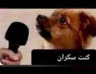 أبو ترف tweet media