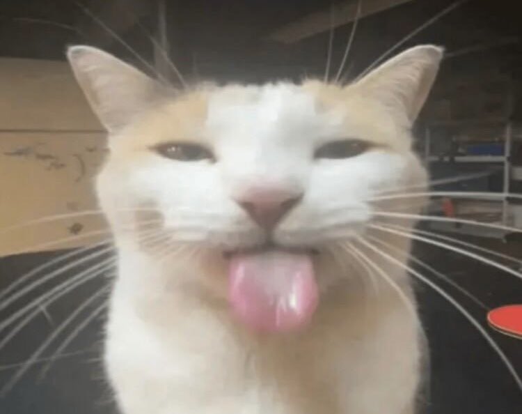 danghost tweet media