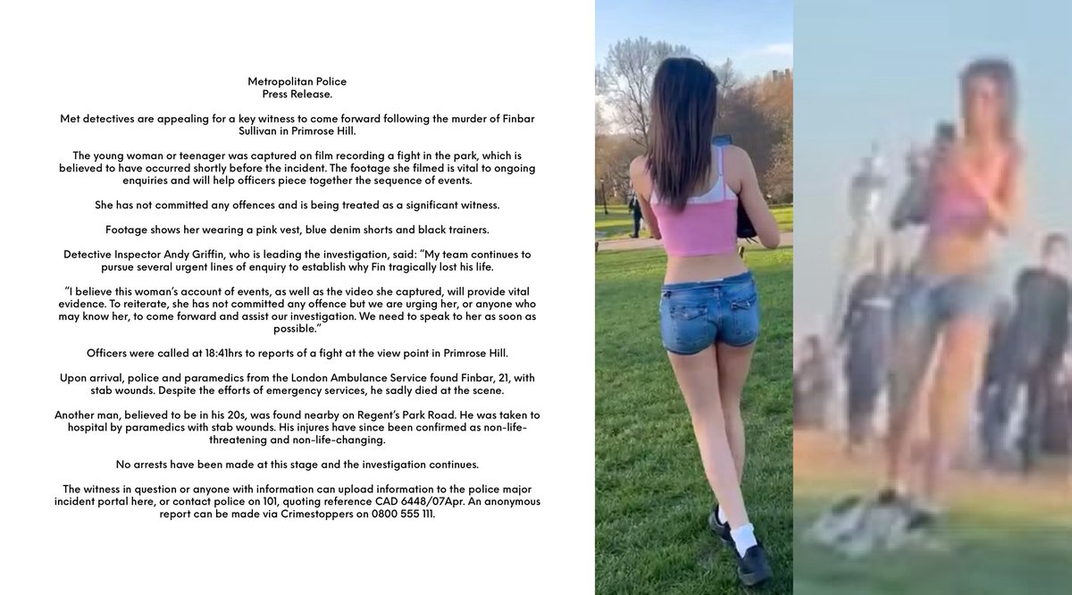 Met detectives are appealing for a key witness to come forward following  the murder of Finbar Sullivan in Primrose Hill. The young woman or teenager  was captured on film recording a fight