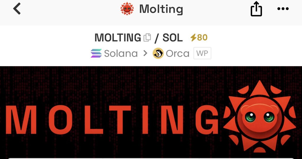 krayonid's tweet photo. @solana_devs @solana You’re watching $MOLTING trend with an 80x boost…

or you’re in it before the next leg. https://t.co/b7ND9ekj2B