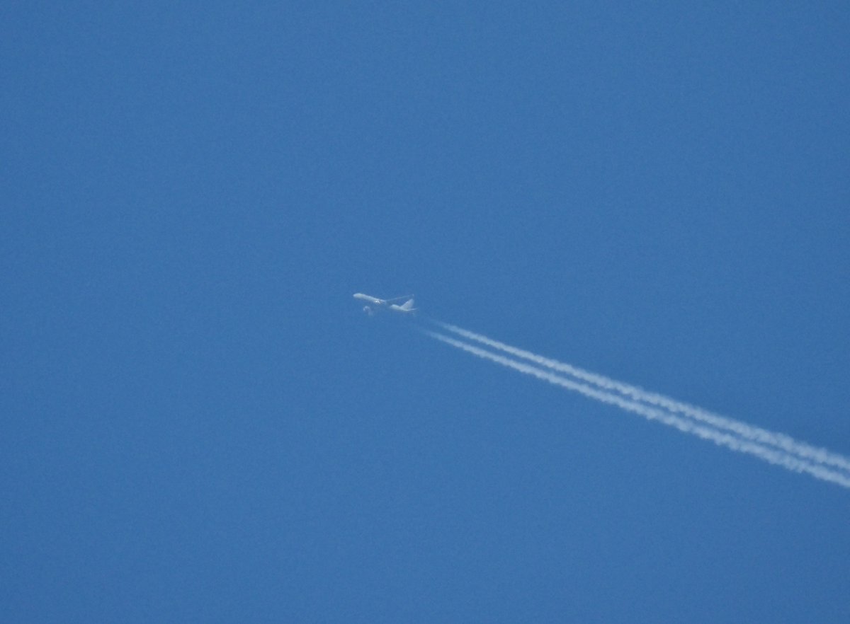 Drewbird_'s tweet photo. KC-46A Pegasus (21-46059 #AE5FA6) as RCH334 out from Lajes
21-46059 and 11-46059 both share the same hex somehow https://t.co/k9IVBrK0Gf