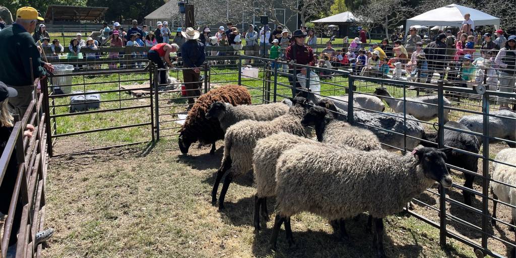 East Bay Regional Park District tweet media