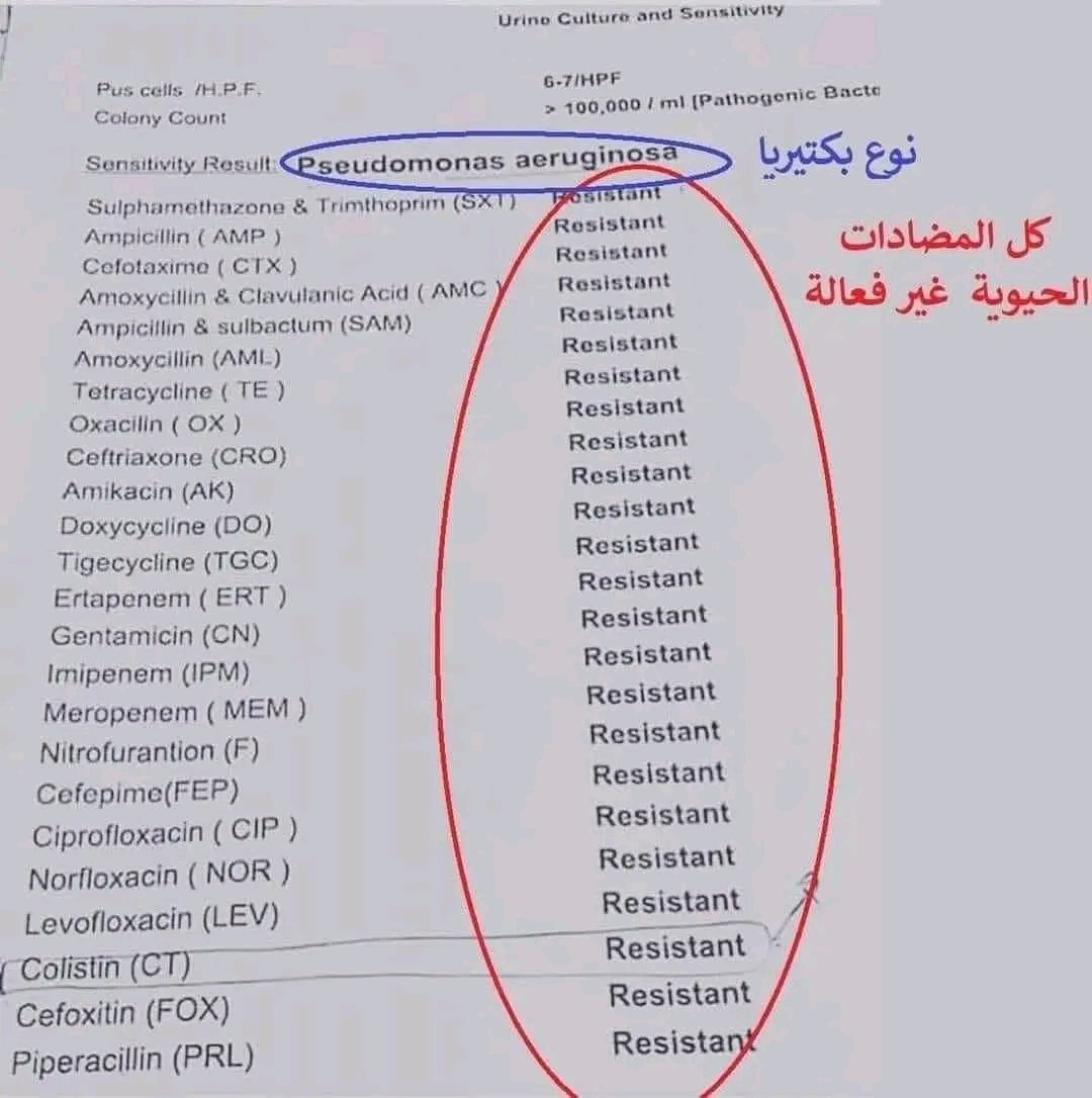 Summaiyat | PharmWise⚕️📚 tweet media