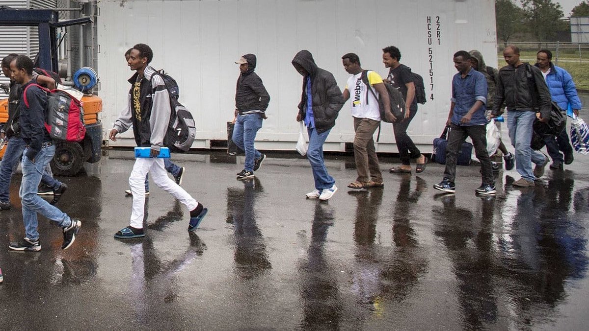 CamoandAmmo tweet media