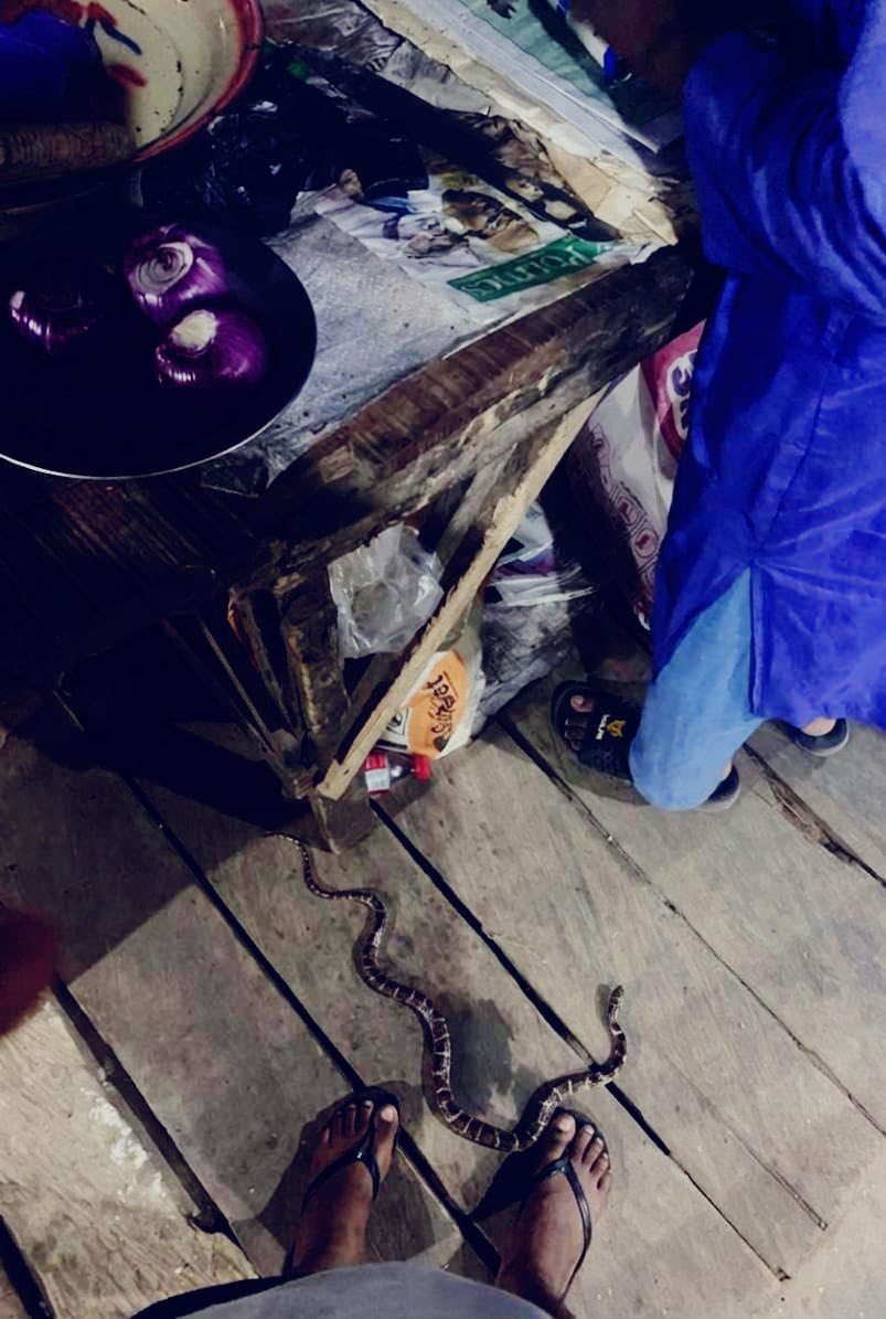 Caketales_with_Nicki tweet media