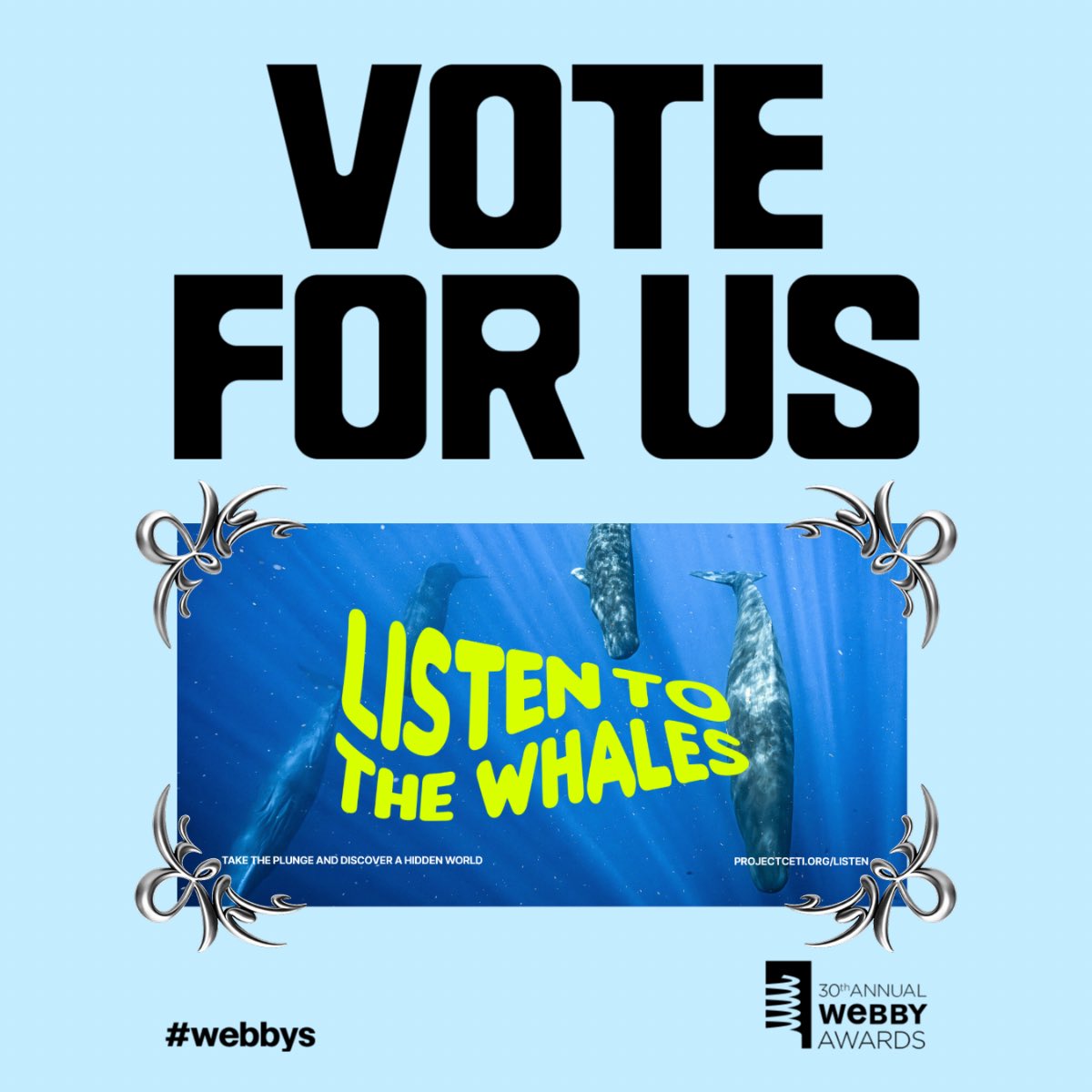 Project CETI tweet media