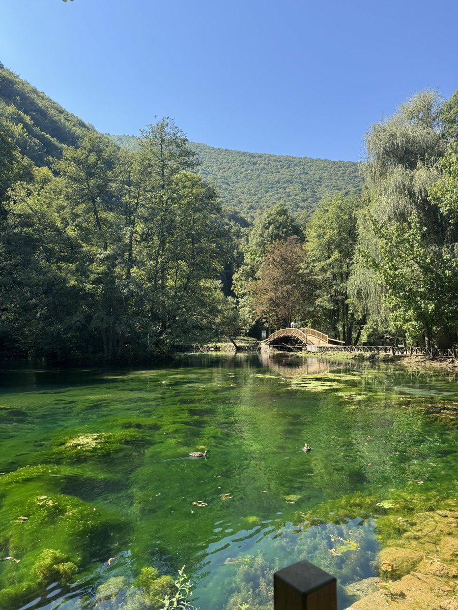 perdshiggy's tweet image. 