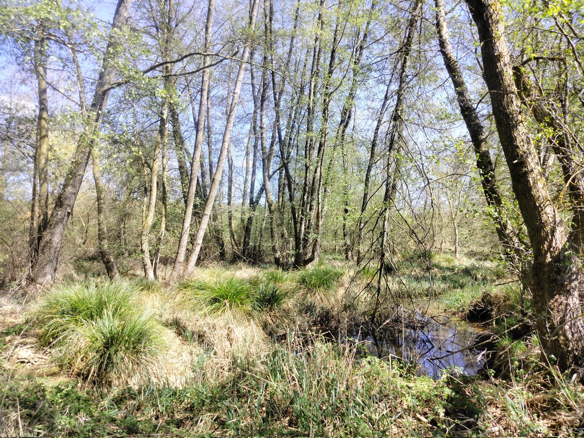 Juan Andrés Oria de Rueda de Salgueiro tweet media