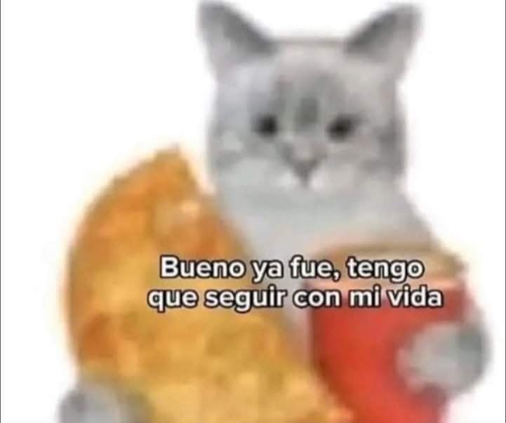 Cap Briagowsky tweet media