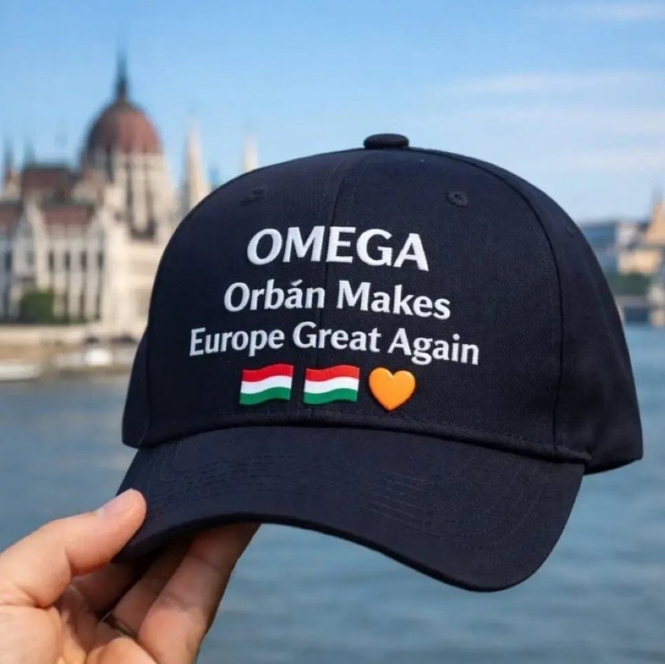 I Stand With Fidesz 🇭🇺🇭🇺🧡✝️ tweet media