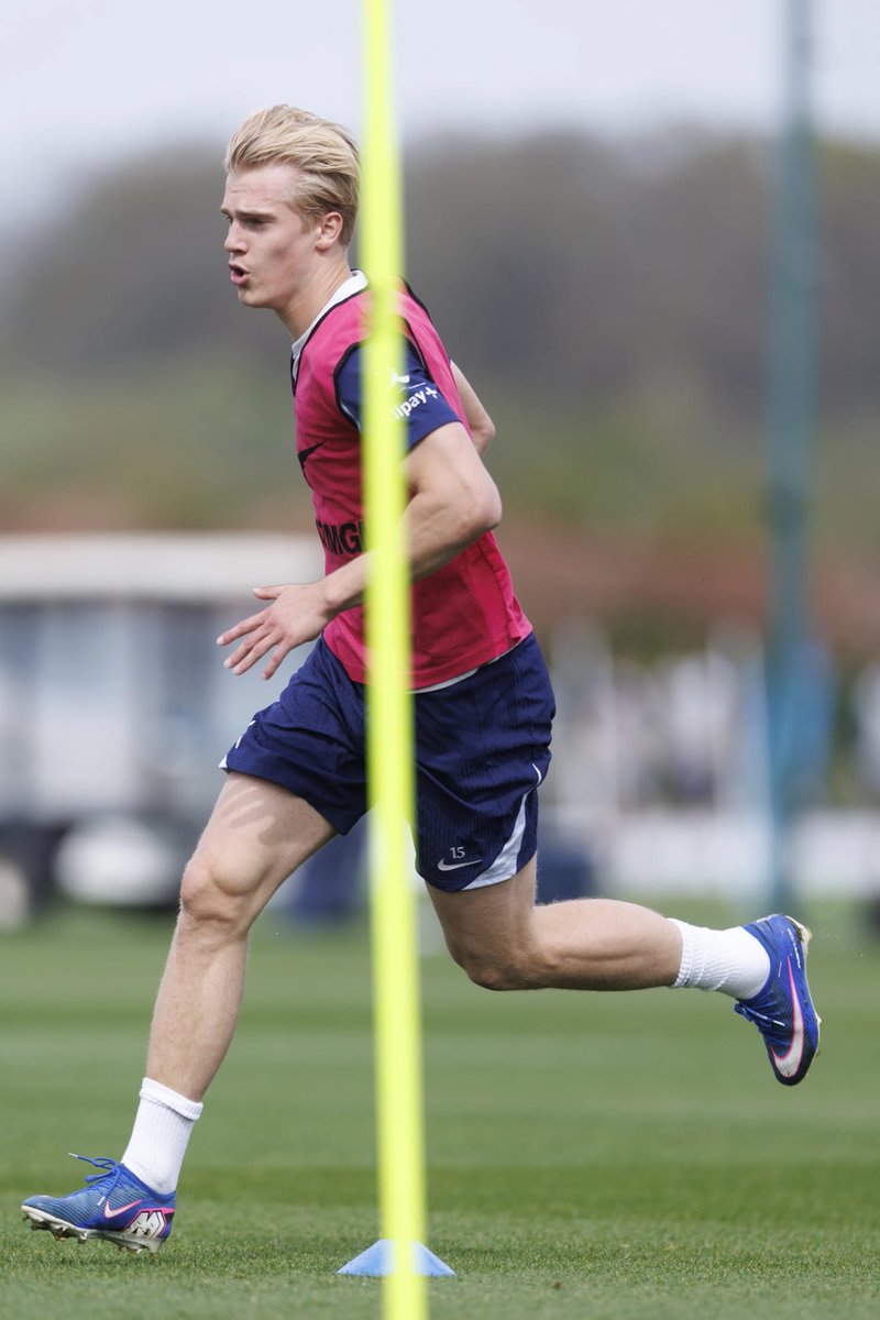 Lilywhite Rose tweet media