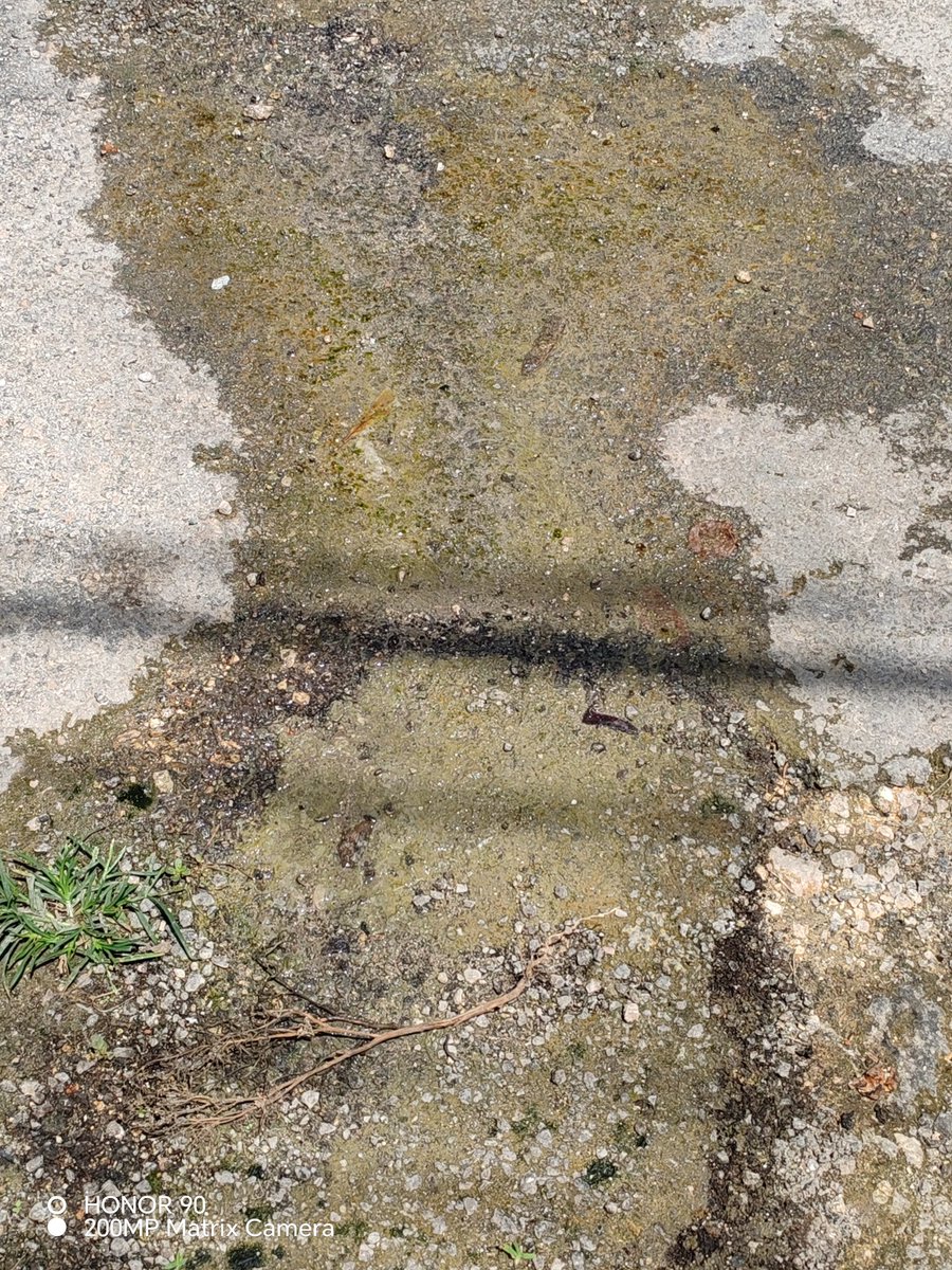 Isa21999331's tweet photo. Desde hace varias semanas hay una fuga de agua, intenté reportar por la app pero no permite porque hay un folio abierto, espero hagan caso @JAPAYOficial @huachodiazmena calle 71A x 122 y 114 fraccionamiento Jardines Nueva Mulsay https://t.co/6POKT1LbjZ