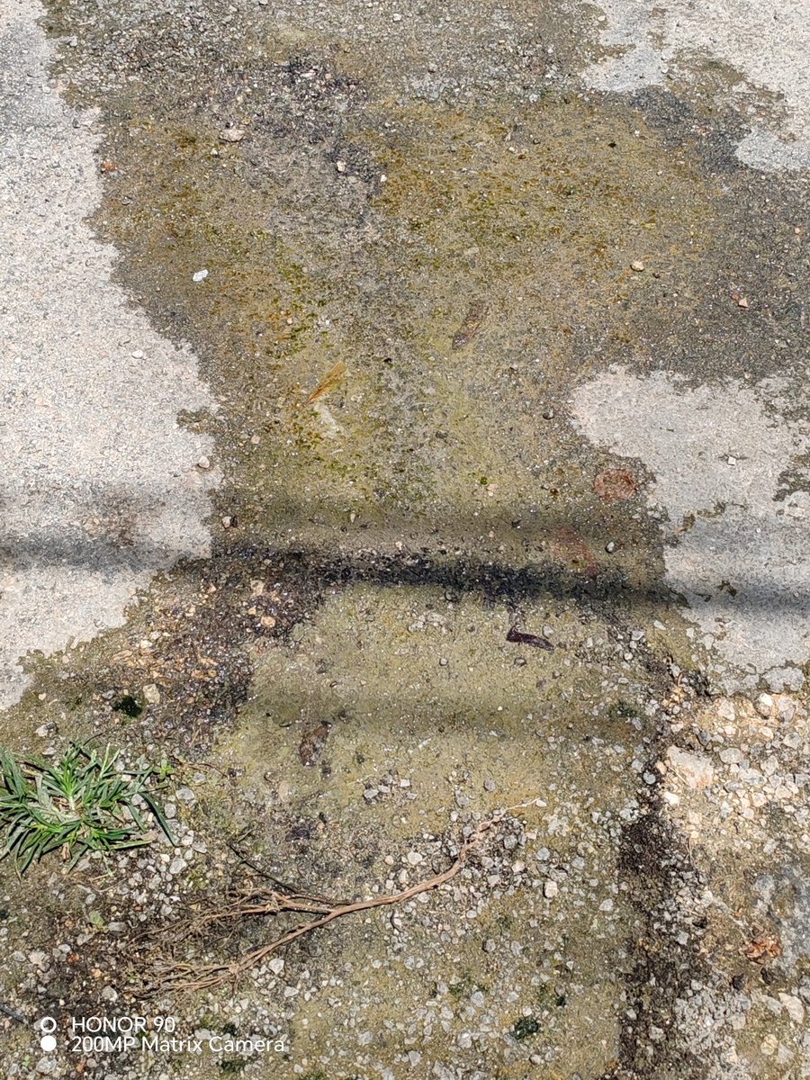 Isa21999331's tweet photo. Desde hace varias semanas hay una fuga de agua, intenté reportar por la app pero no permite porque hay un folio abierto, espero hagan caso @JAPAYOficial @huachodiazmena calle 71A x 122 y 114 fraccionamiento Jardines Nueva Mulsay https://t.co/6POKT1LbjZ
