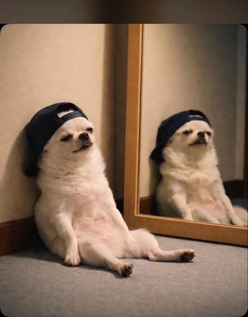 Mighty Lowkey🧟‍♂️! tweet media