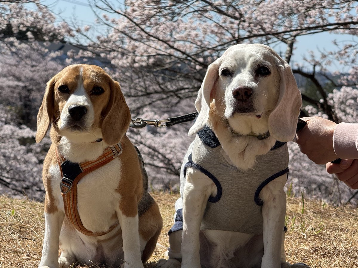 cocco mama tweet media