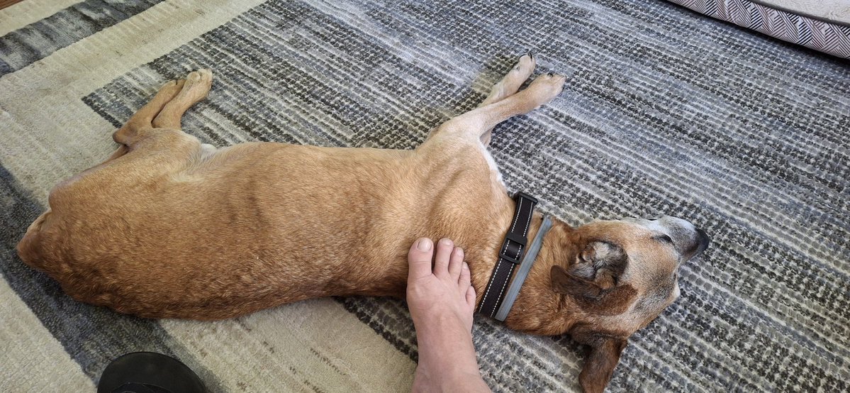 Michael Gilbert tweet media