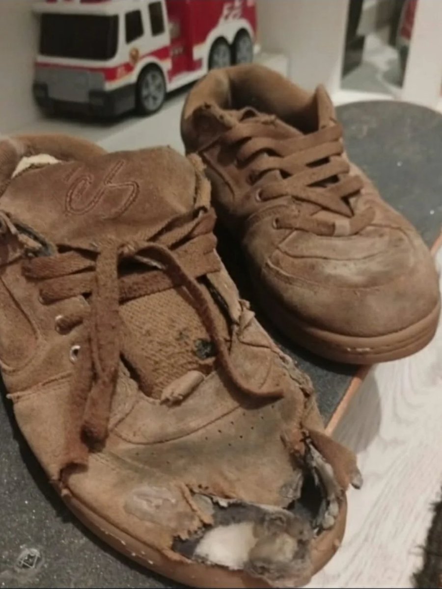 Sibel🛹 tweet media