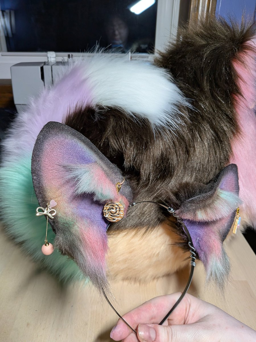 ryn 🐾🦴 (aka puppypilled) tweet media